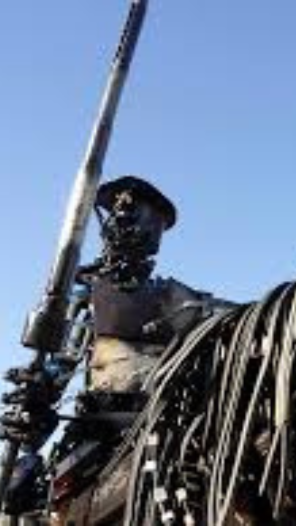 Quijote de Regazzoni